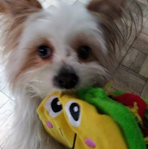 Meet your Posher, Deborah